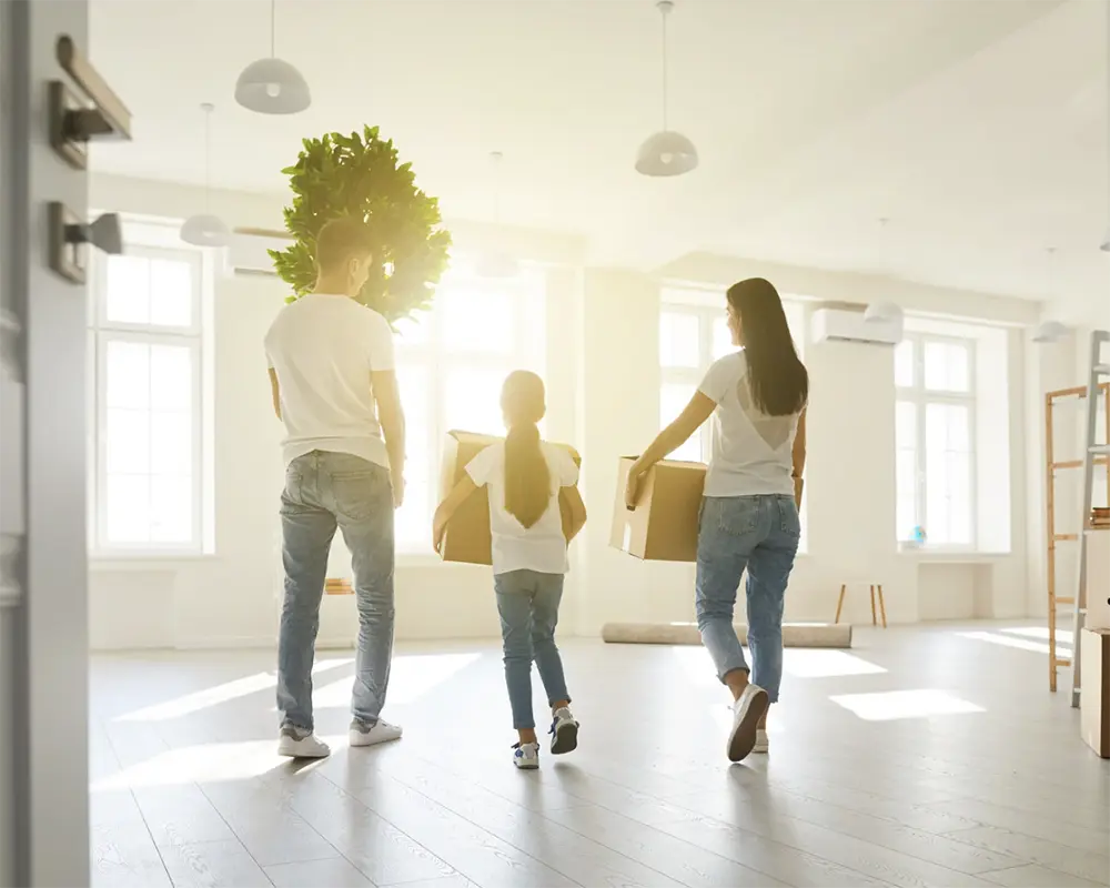Probate Bypass